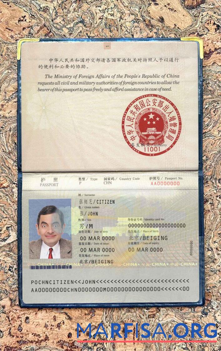 Printable China pass (2007 2009) photo look example